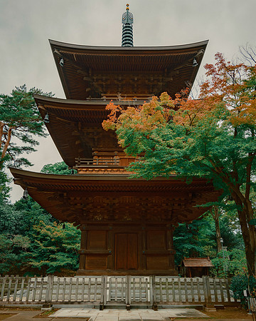 Gotokuji. Tokyo, Japan, 2022