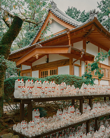 Gotokuji. Tokyo, Japan, 2022