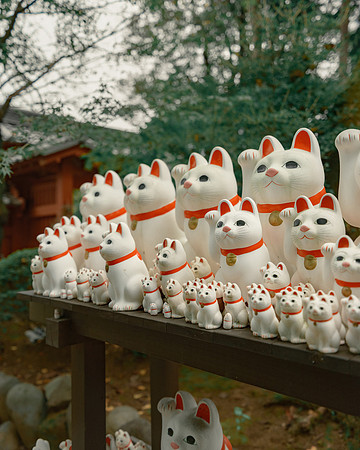 Gotokuji. Tokyo, Japan, 2022