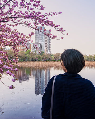 Ueno, Tokyo, Japan, 2017