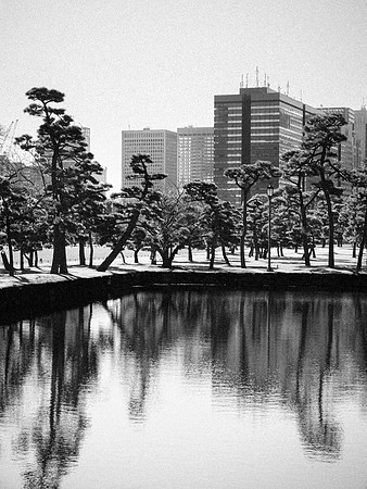 Imperial Palace, Tokyo, Japan, 2025