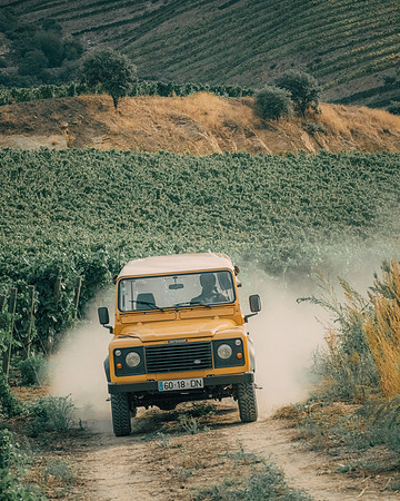 Quinta de Ventozelo, Portugal. September, 2021