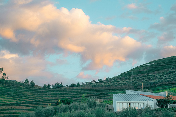Quinta de Ventozelo, Portugal. September, 2021