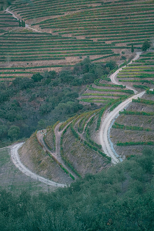Quinta de Ventozelo, Portugal. September, 2021