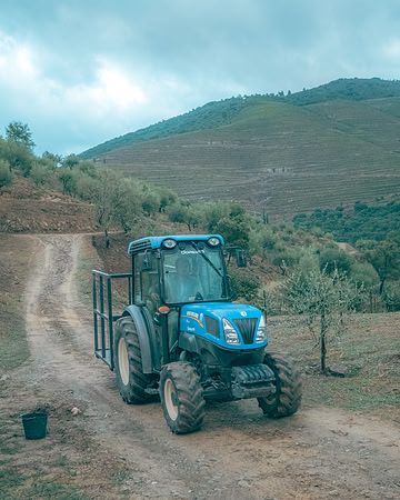 Quinta de Ventozelo, Portugal. September, 2021