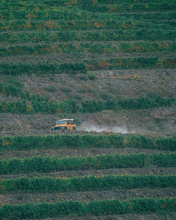 Quinta de Ventozelo, Portugal. September, 2021