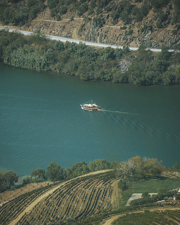 Quinta de Ventozelo, Portugal. September, 2021