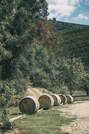 Quinta de Ventozelo, Portugal. September, 2021