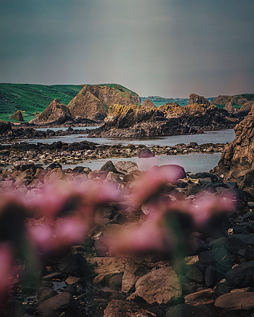 Ballintoy, Northern Ireland, 2019