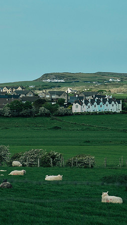 Northern Ireland, 2019