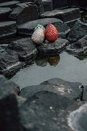 Giant's Causeway. Northern Ireland, 2019
