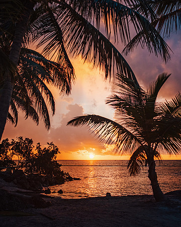 Cap Cana, Dominican Republic, 2019