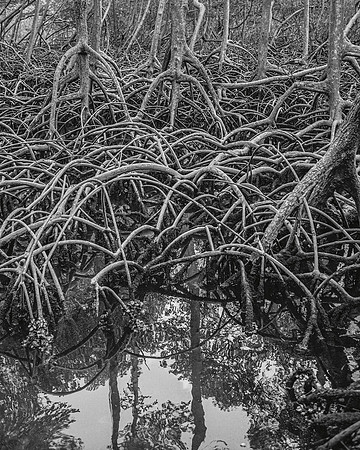 Parque de los Haitises, Dominican Republic, 2019