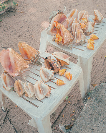 Cayo Levantado, Dominican Republic, 2019