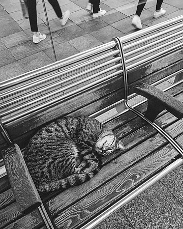 Istanbul, Turkey, 2019