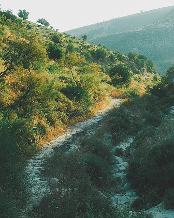 Umm Qais, Jordan, 2022