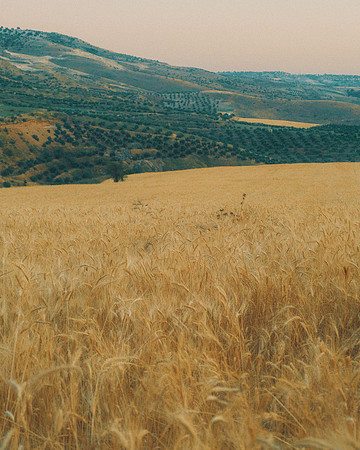 Umm Qais, Jordan, 2022